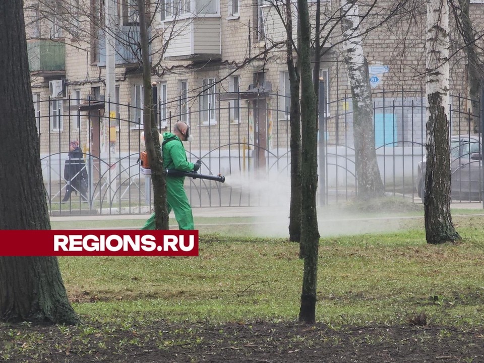 Парки Павловского Посада начали обрабатывать от клещей