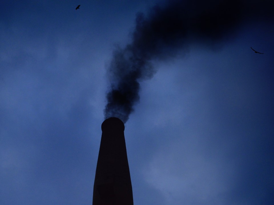 В Раменском суд рассмотрит дело о порче земли и загрязнении атмосферы