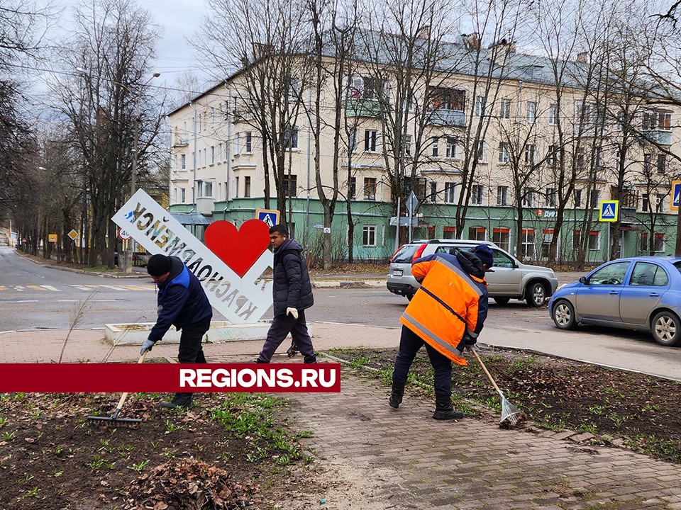 Почти 16 тысяч цветов украсят улицы Красноармейска этим летом