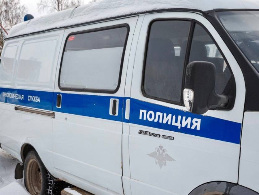 Сто килограммов наркотиков изъяли полицейские у двух курьеров в Орехово-Зуеве