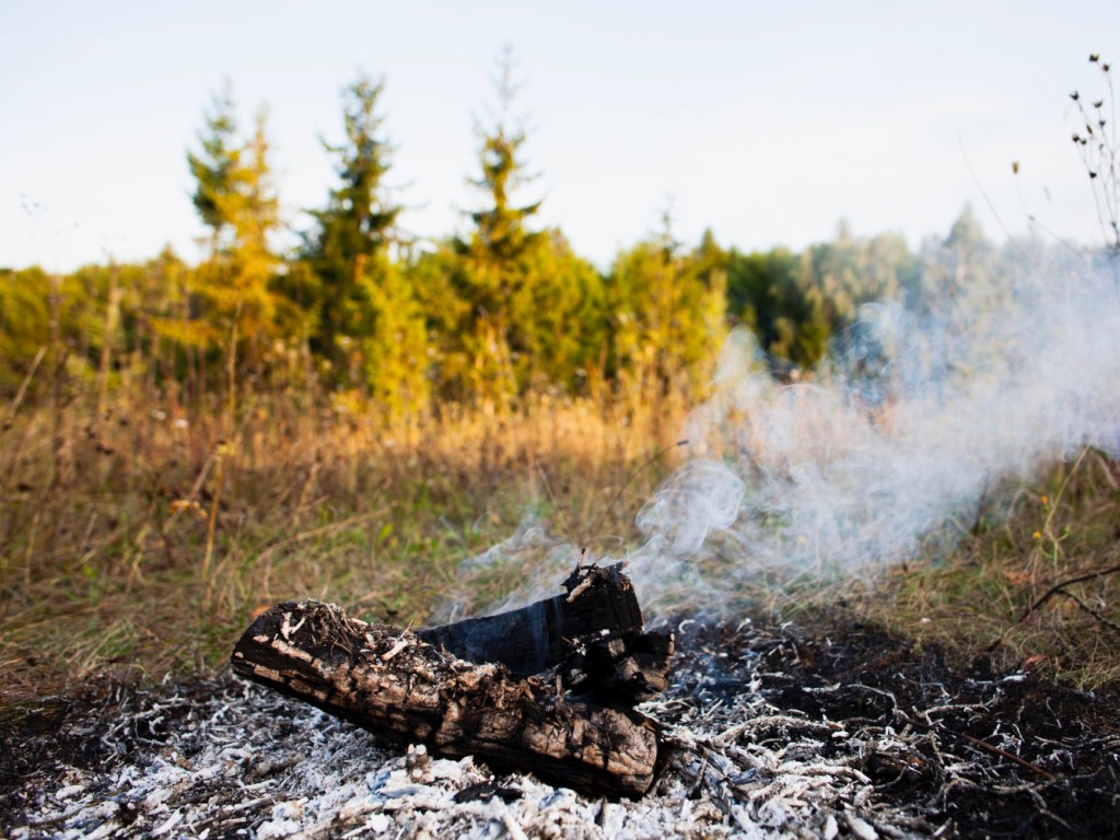 Пожарить шашлыки в лесу теперь стоит от 15 тысяч рублей
