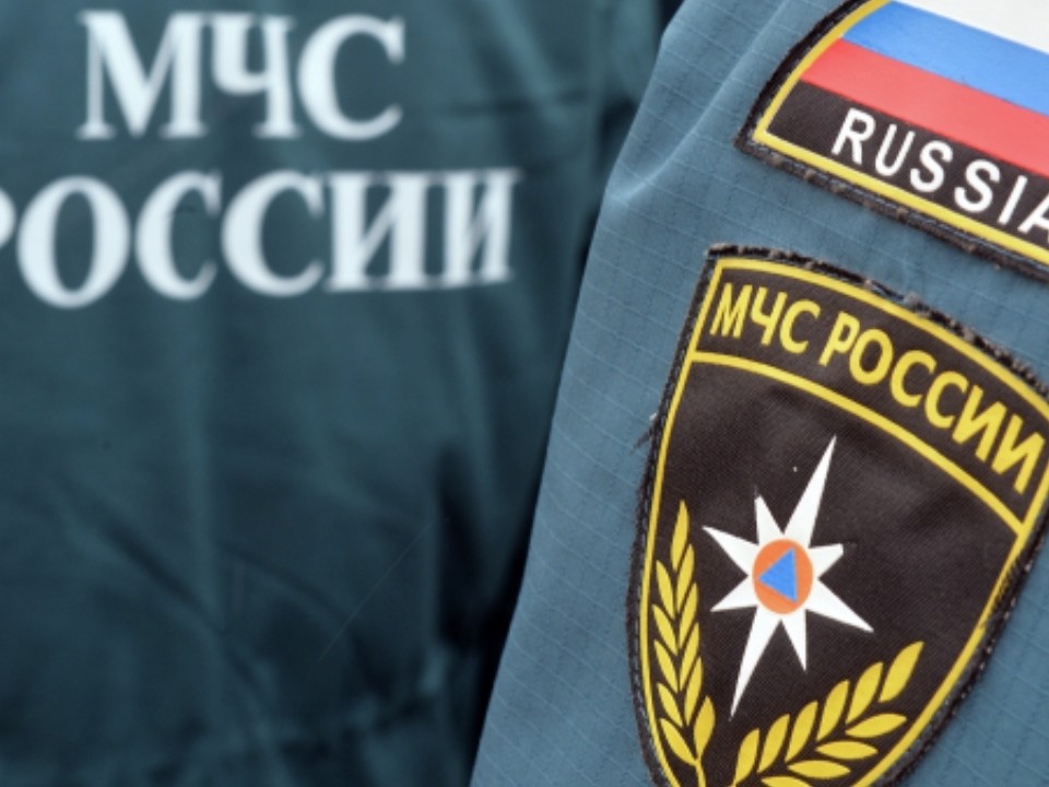 МЧС распространило предупреждение о грозе и сильных дождях в Подмосковье в ночь на пятницу