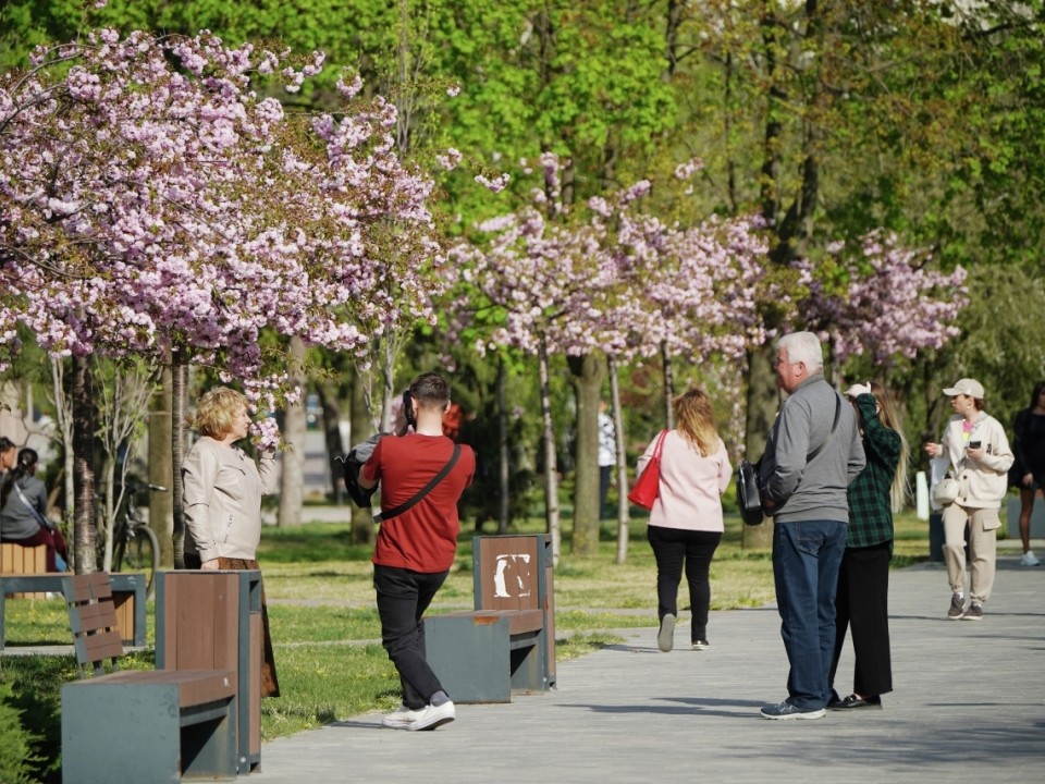 Почти половина россиян планирует отмечать дома майские праздники