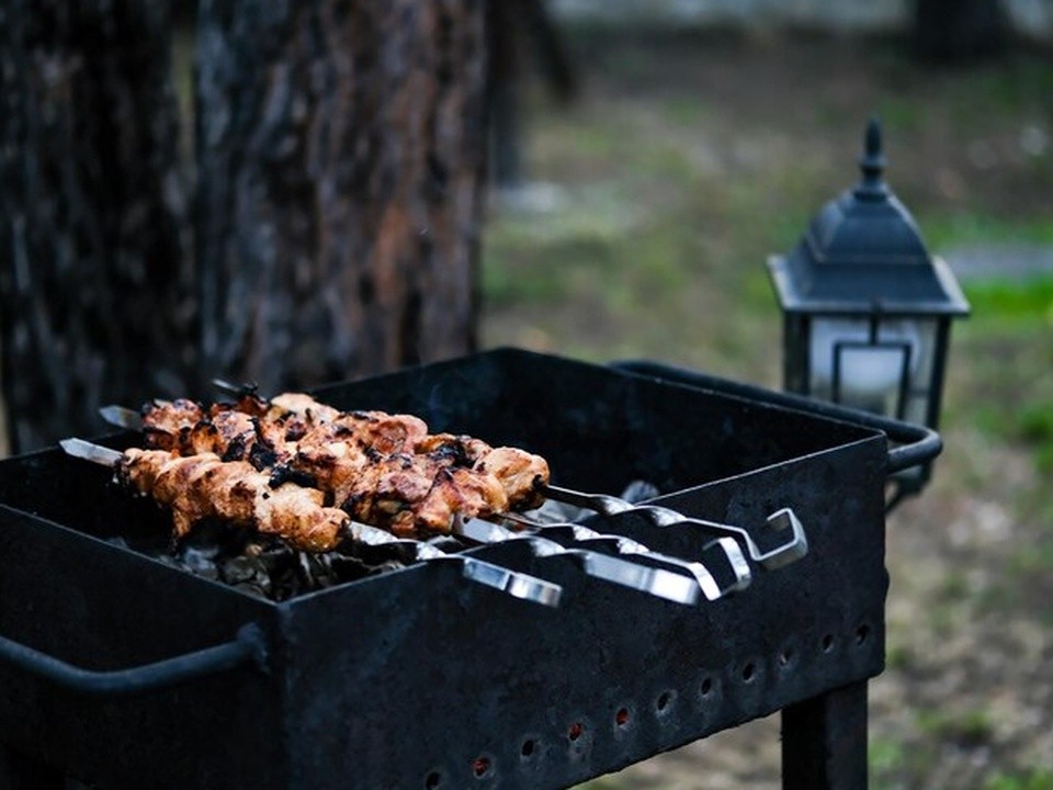 В лесах Одинцовского округа можно отведать шашлыки стоимостью в 60 тысяч рублей с человека