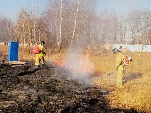 Пожарные просят родителей не разрешать детям поджигать сухую траву