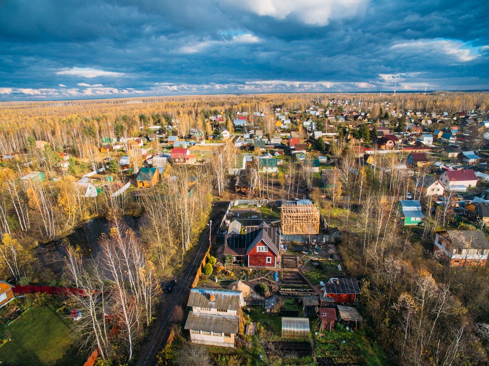 В подмосковном Союзе дачников перечислили распространенные схемы мошенников при покупке дачи