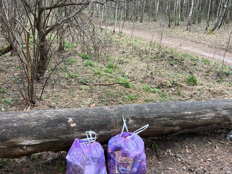 Поступок жительницы Протвино, убравшей в одиночку мусор в лесу, нашел продолжателей доброго дела