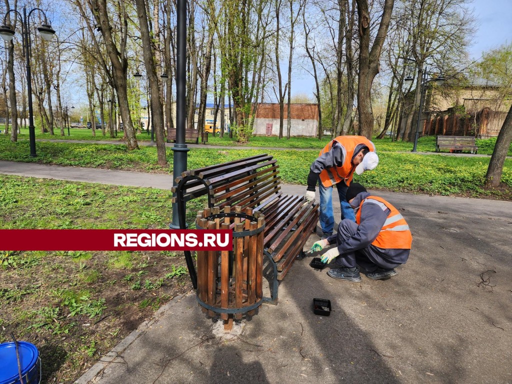 Марафон чистоты в Серпухове 27 апреля пройдет в Городском бору | REGIONS.RU  / Серпухов