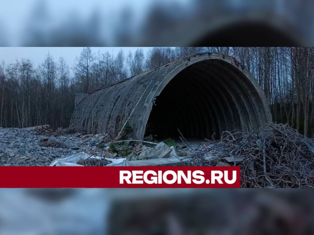 Место сноса ангаров на территории бывшей воинской части в районе Ковригино облагородят хвойными деревьями