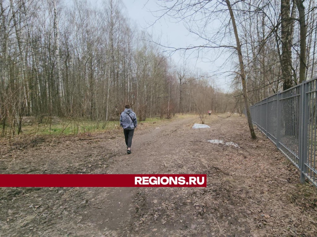 По просьбам жителей новый тротуар обустроят вдоль Покровского проезда