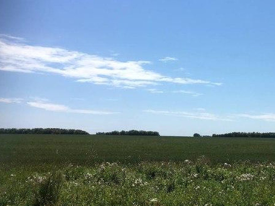 Фермеры Егорьевска могут получить земельный участок по программе «Подмосковные 10 га»
