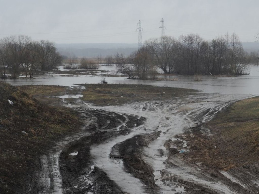 Жителям Подмосковья пообещали увеличение площади затопленных паводком земель