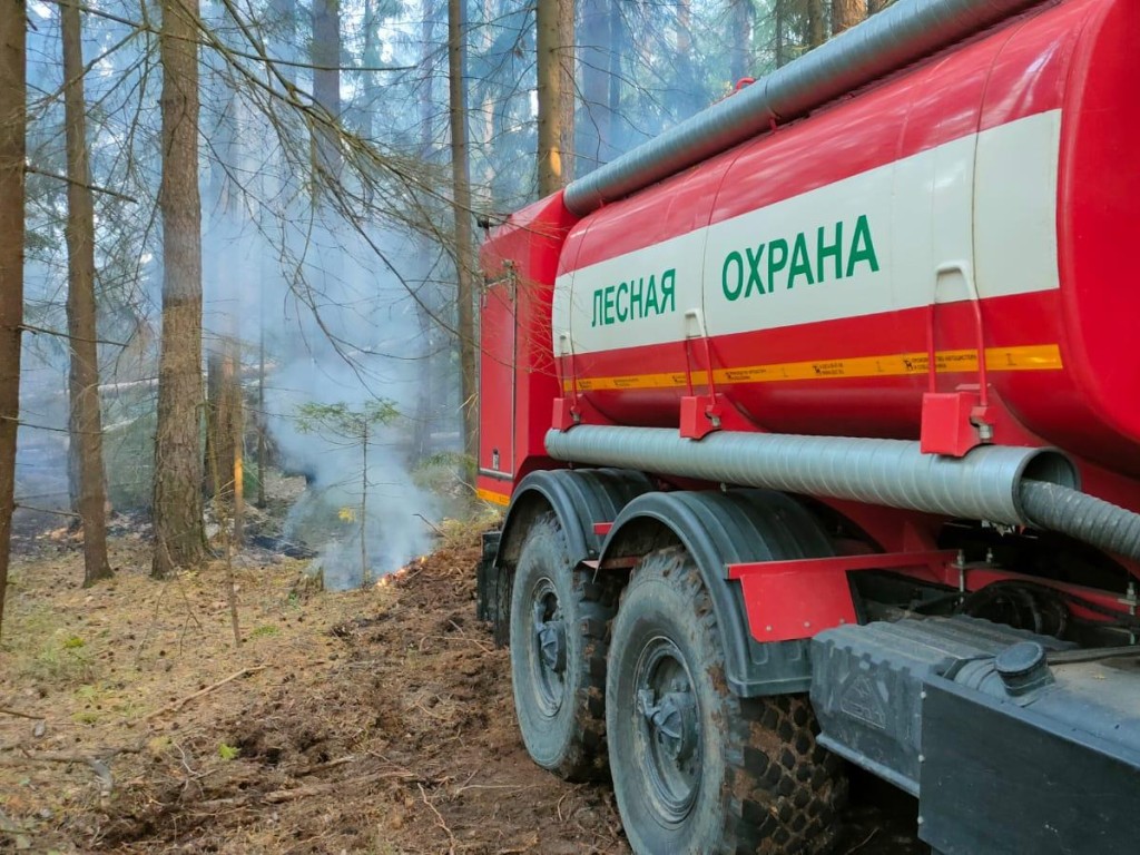 Мособлпожспас»: За пал прошлогодней травы предусмотрен штраф до 20 тысяч  рублей | REGIONS.RU / Серпухов