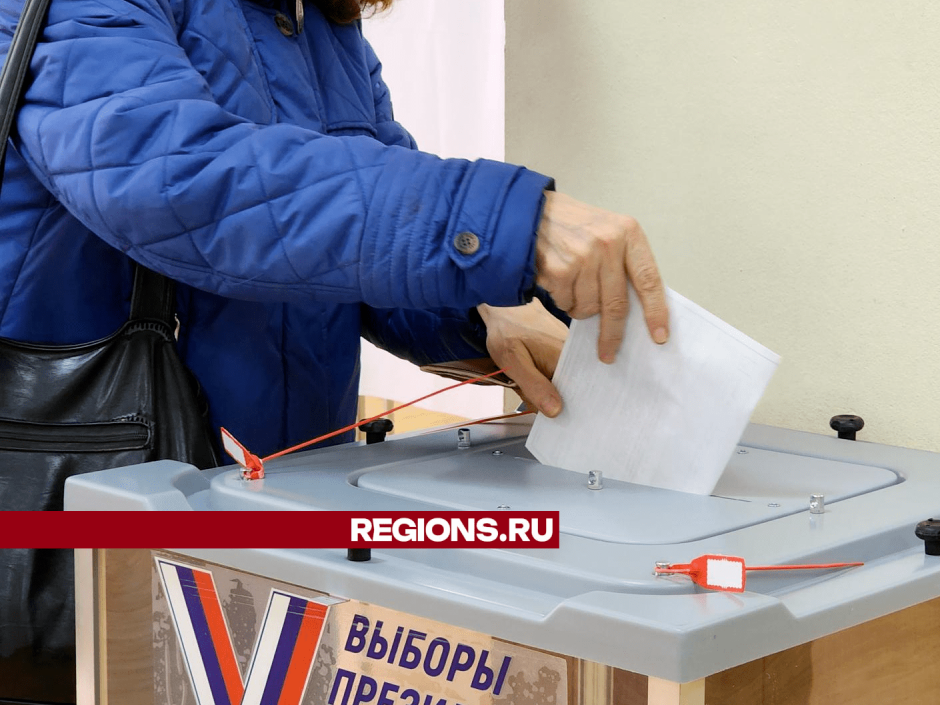Наблюдатель от Общественной палаты России высоко оценил организацию выборов в округе