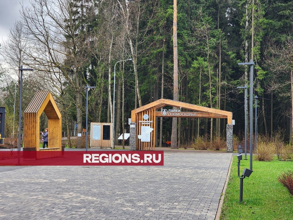 Спортивная зона появится в Мытищинском лесопарке на месте конюшни
