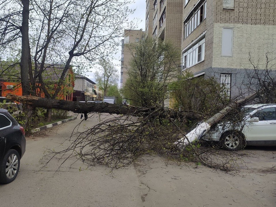 В Подольске упавшие столбы повредили два автомобиля