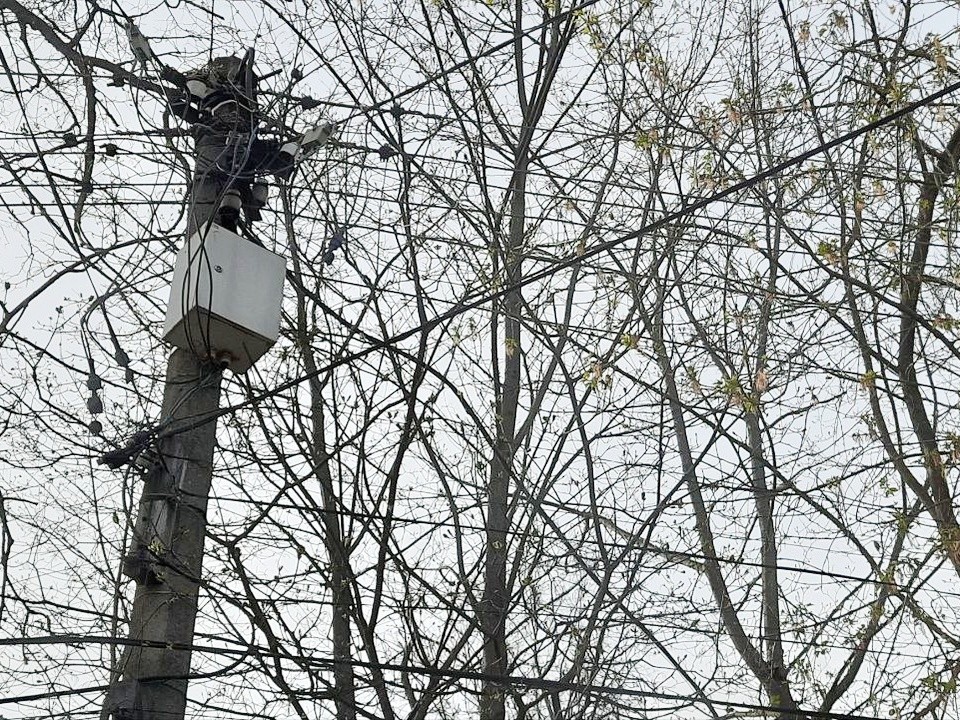 В СНТ «Рябинушка» 25 апреля будут отключать свет