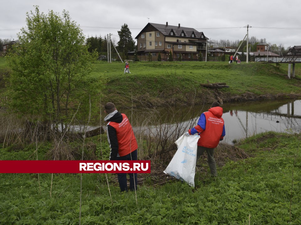 Берег реки Лобь жители Лотошино очистили от бутылок и пластика