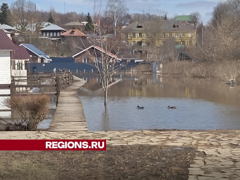 Рекордный паводок-2024: в затопленный Принарский парк приплыли утки |  REGIONS.RU / Серпухов