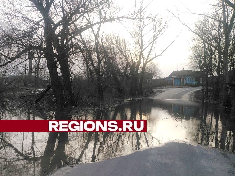 Одиннадцатую дорогу перелило в Луховицах