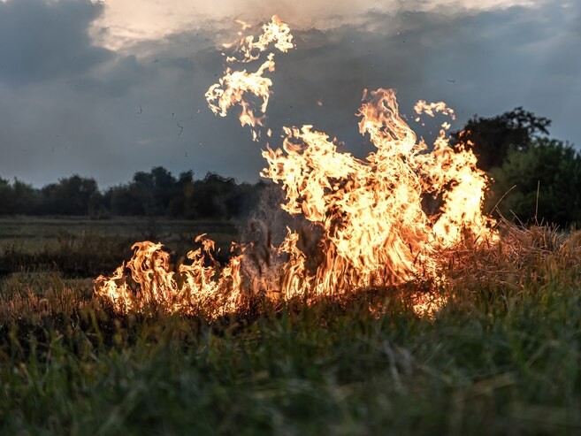 Поджигать сухую траву стало дорого