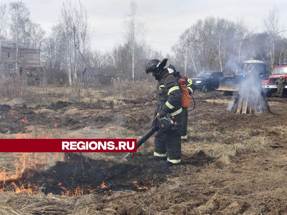 Условный лесной пожар потушили спасатели в Лотошино