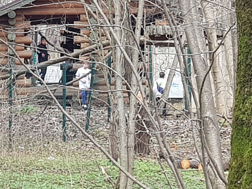 В Химках заметили подростков, которые рушили курятник в контактном зоопарке