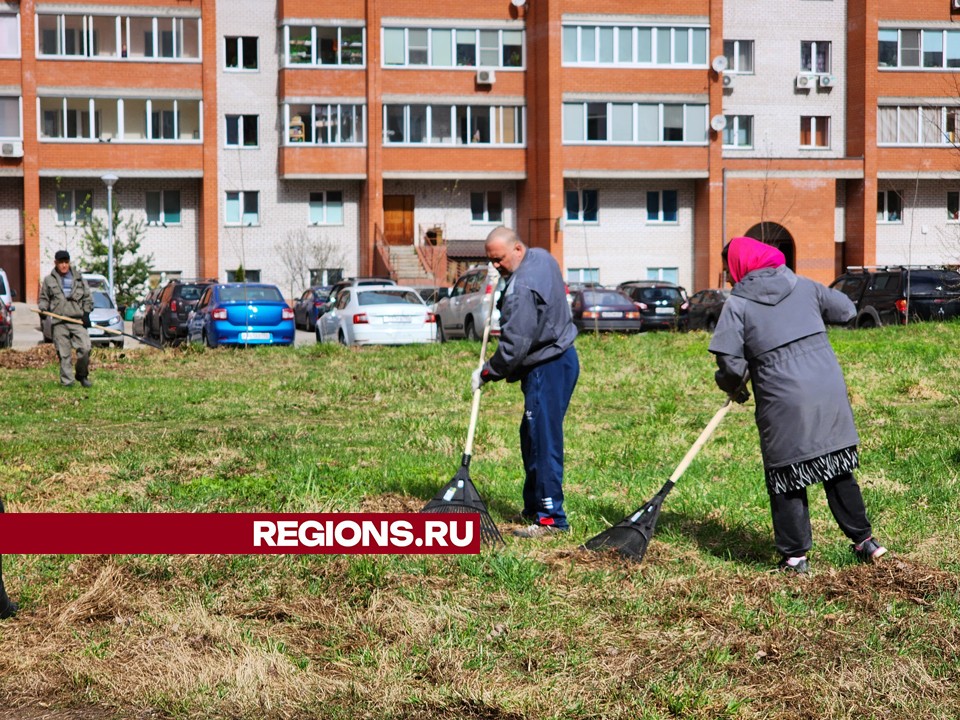 Жители двух домов в Дубне провели субботник на общей дворовой территории