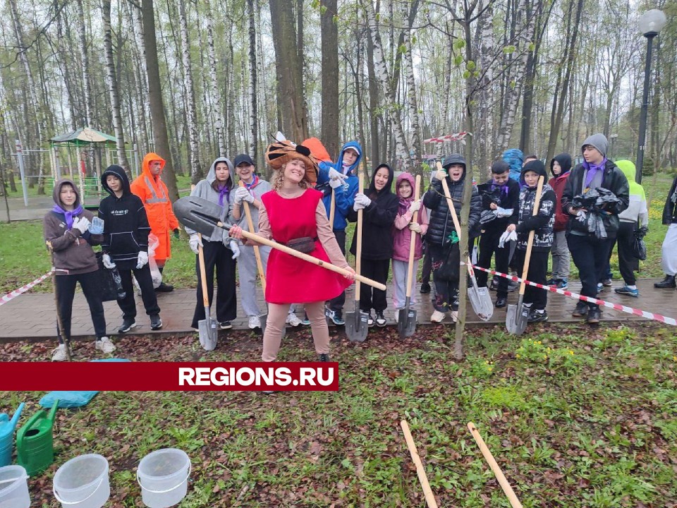 Маленькие дубы и осины высадили в парке «Березовая роща» школьники Пушкинского округа