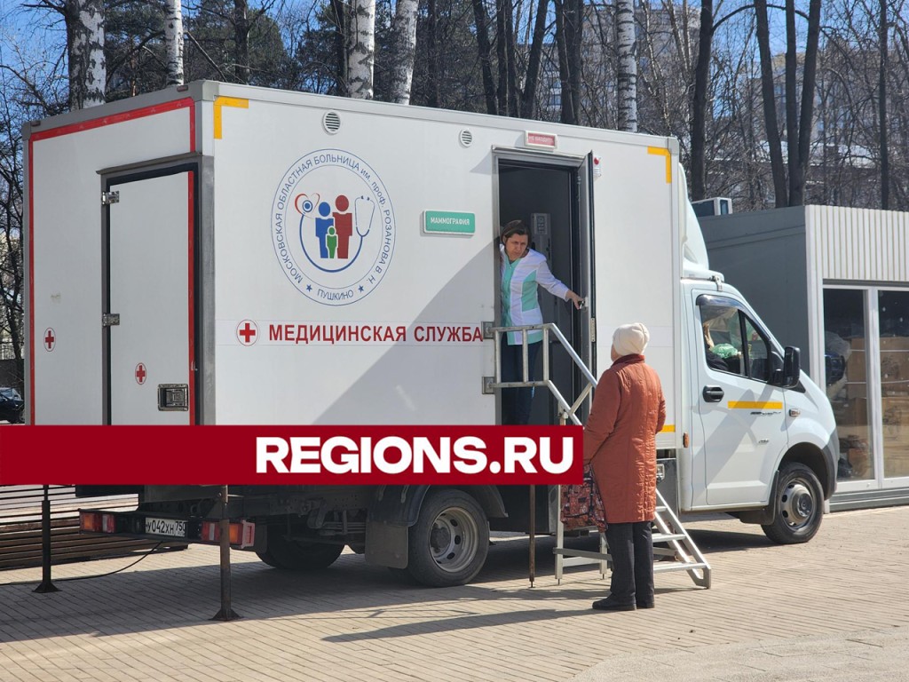 Не более 15-20 минут: медосмотр жителей провели в Центральном парке горда  Пушкино | REGIONS.RU / Пушкино