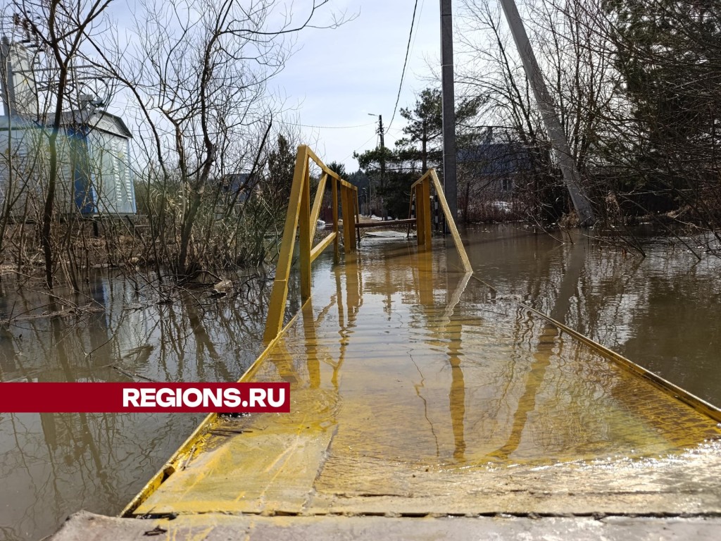 Подтопление СНТ «Мрия» в Раменском округе: эвакуация не требуется, вода  уходит | Раменское