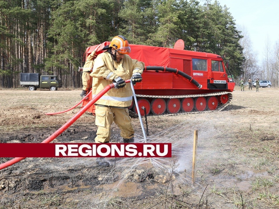 Повышенный уровень пожарной опасности сохраняется в луховицких лесах