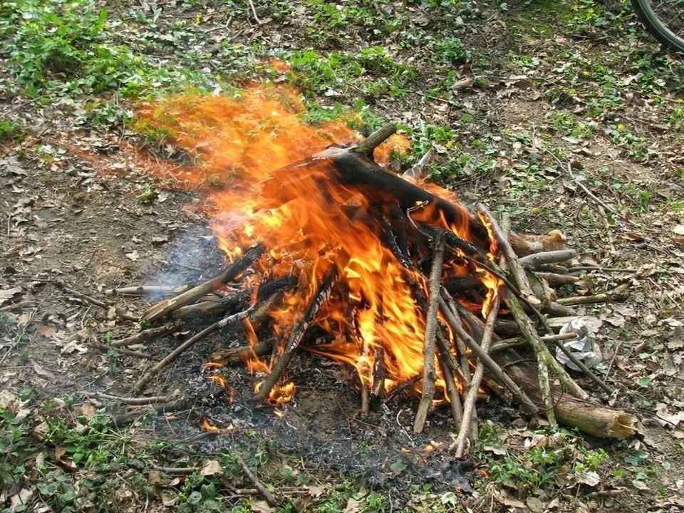 Антилидеры по пожарам: чрезвычайную ситуацию создают жители Воскресенска, разводя костры в лесах