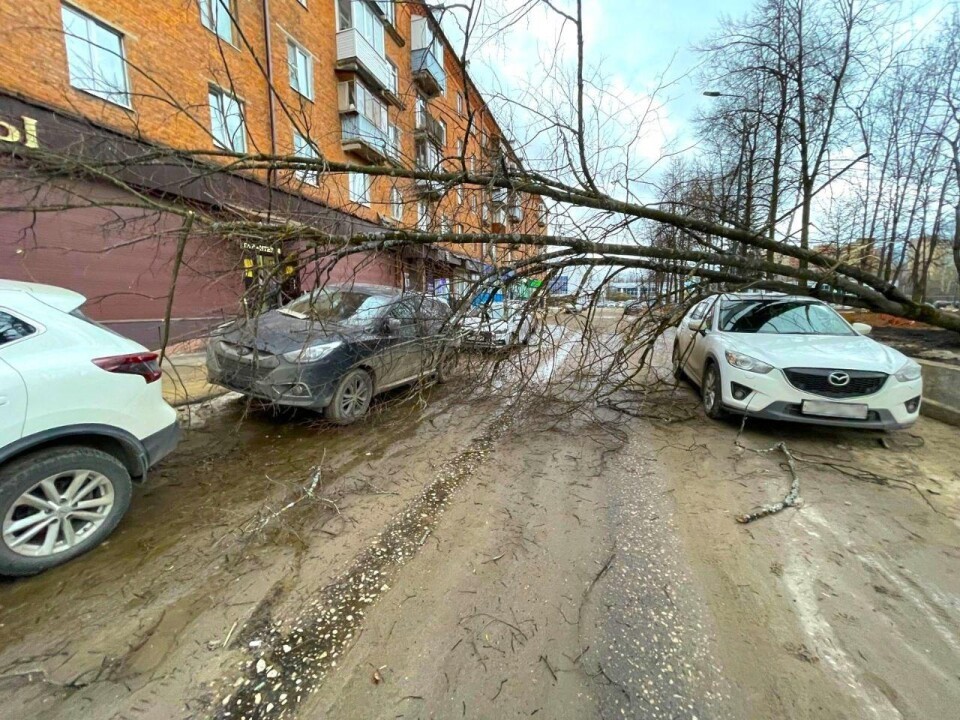 В округе спасатели ликвидируют последствия ураганного ветра