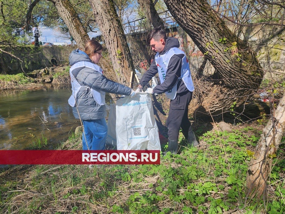 Собранное на берегу Яузы стекло отправят на переработку