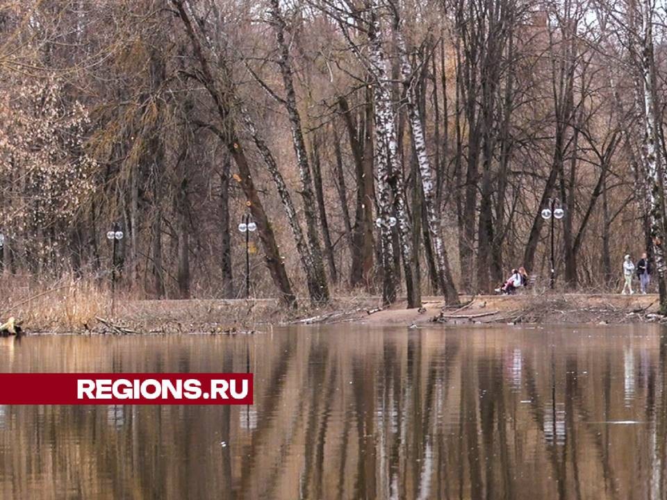 Подготовительные работы по расчистке берегов реки Сестры стартовали в Клину