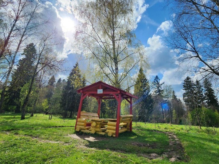 Шашлык без штрафа: отдохнуть на природе можно в районе села Тропарево