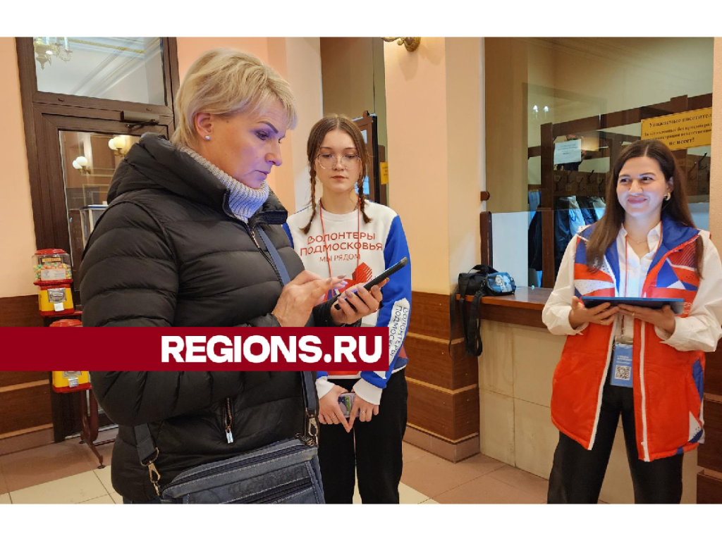 Мемориал «Скорбящая мать» стал самым популярным объектом у пушкинцев на голосовании по благоустройству