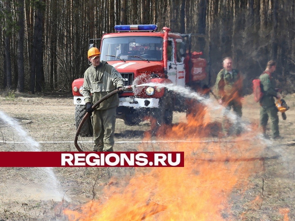 Высокий класс пожарной опасности введен в луховицких лесах