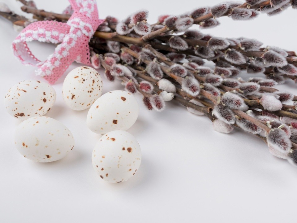 «Это особые дни»: священник рассказал, как правильно провести вечер Вербного воскресенья