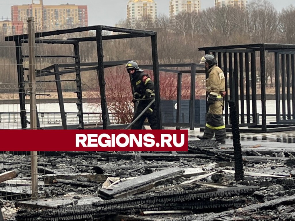 Стала известна предварительная причина пожара на пляже в химкинском парке  Толстого | REGIONS.RU / Химки