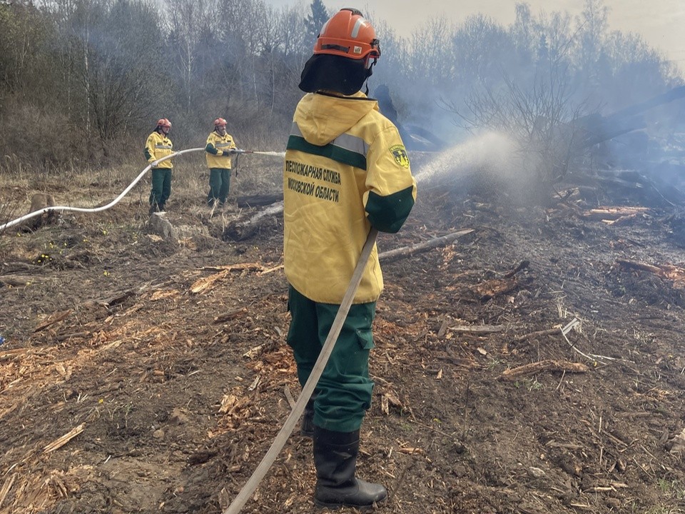 На пожароопасных территориях в округе установят фотоловушки
