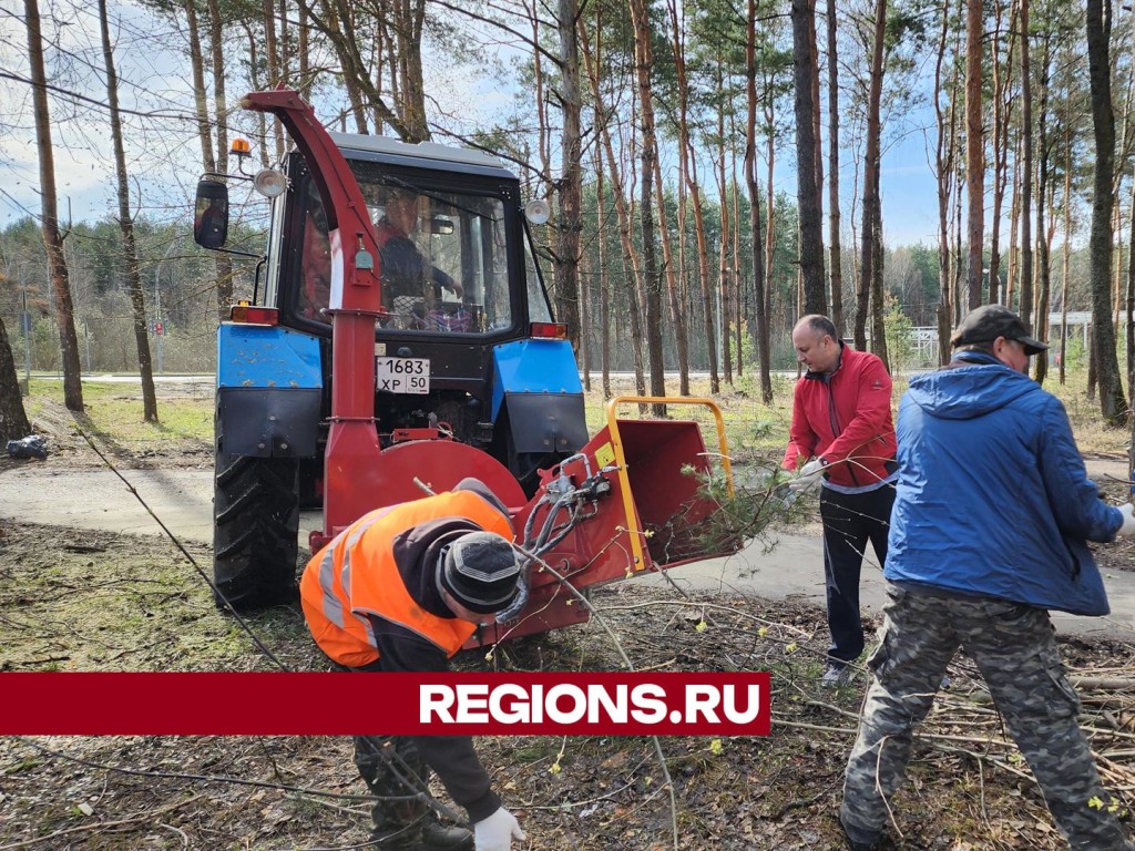 В округе привели в порядок территорию рядом с Центральной библиотекой