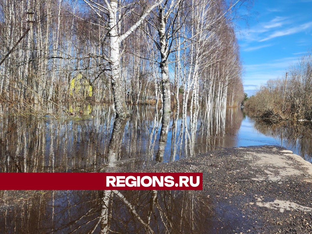 В нашем округе в зоне подтопления оказалось 21 садоводческое товарищество |  REGIONS.RU / Егорьевск