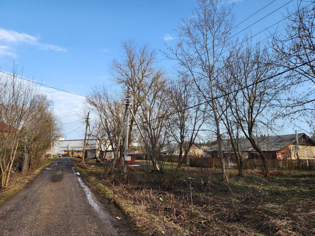 В деревне Горбово спилят аварийные деревья по просьбе жителей