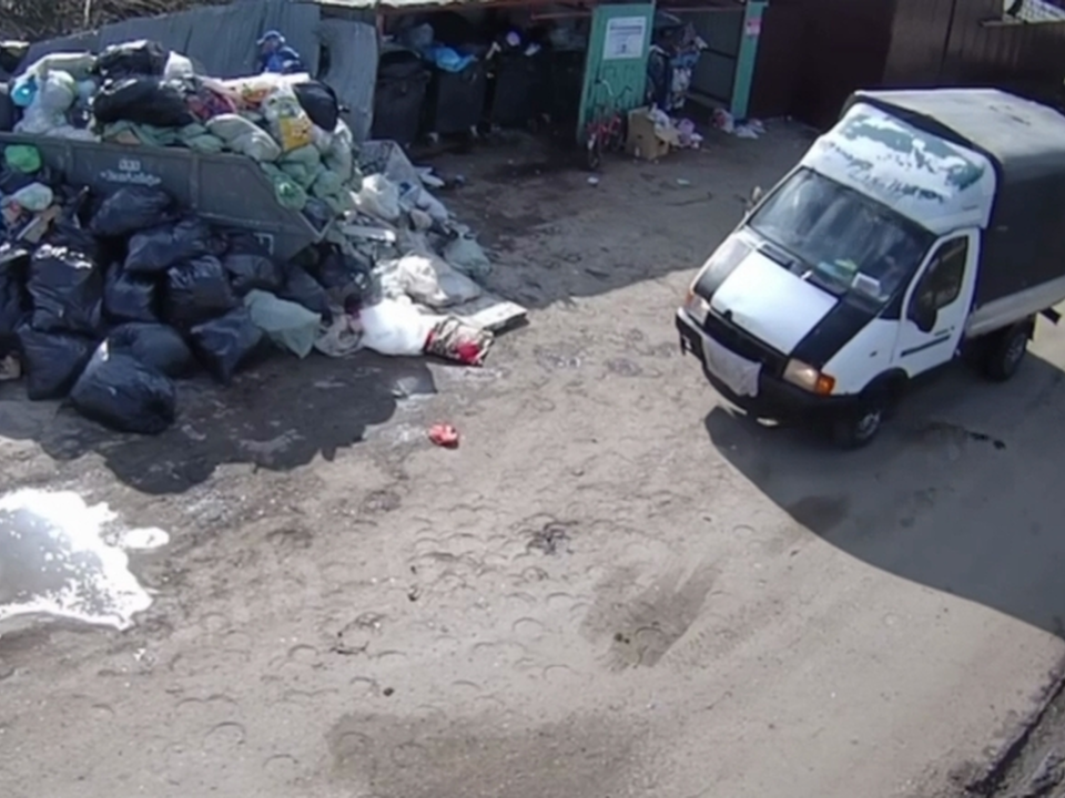 В Истре вычислили нарушителей, которые незаконно сбрасывали мусор