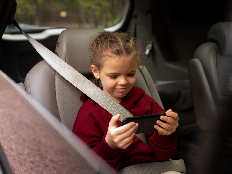 Госавтоинспекторы во время рейда напомнят водителям из Серебряных Прудов, как правильно перевозить детей