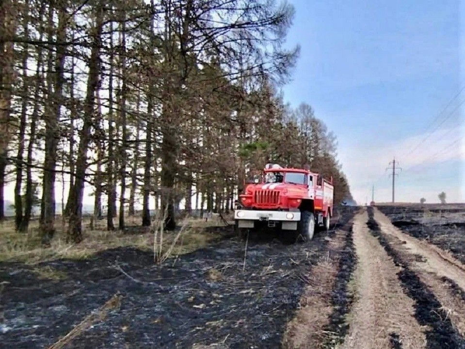 В Раменском округе проведут опашку около 30 км пожароопасных мест
