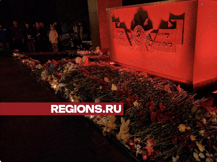 Девятый день: в Жуковском почтили память погибших в «Крокус Сити Холле»