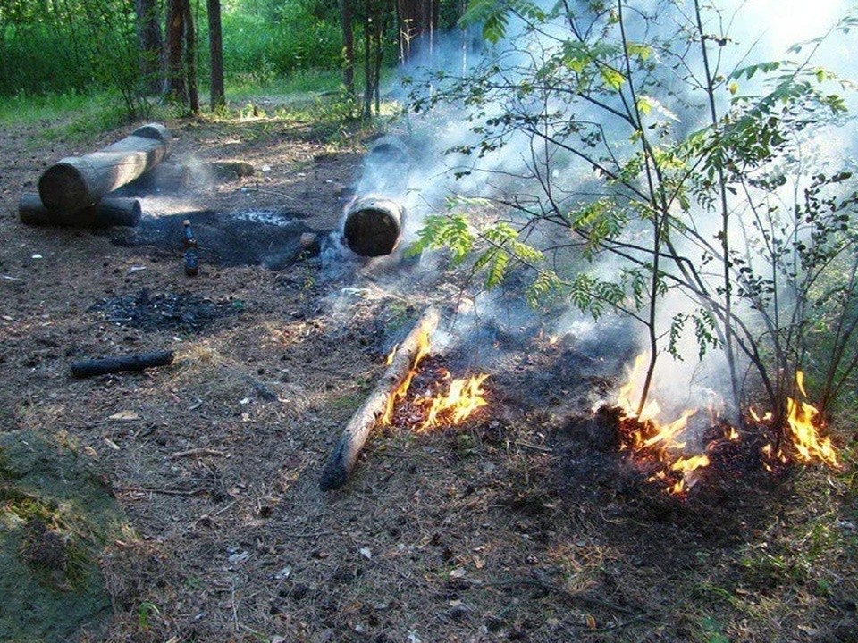 Третий класс пожарной опасности фиксируют в подольских лесах